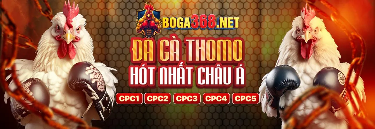 Đá Gà Trực Tuyến Hấp Dẫn tại 22bet APK